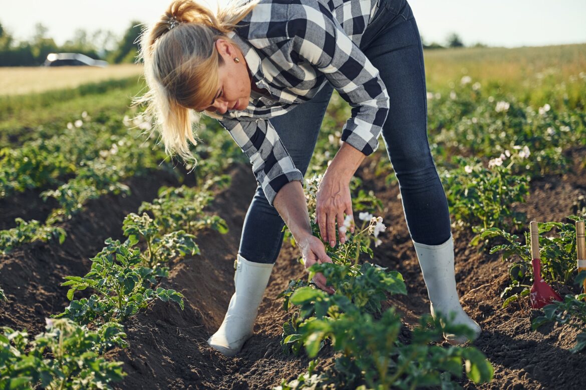 agriculture solidaire