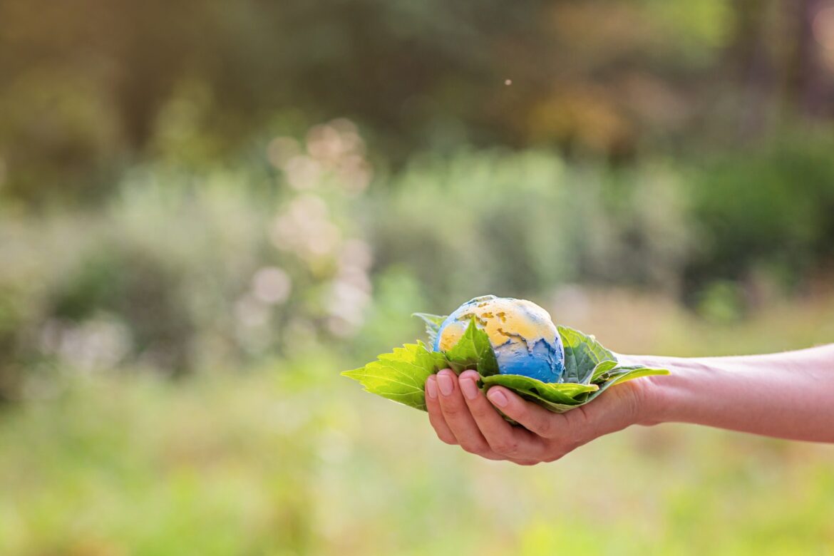 cuisine solidaire pour une planète en bonne santé