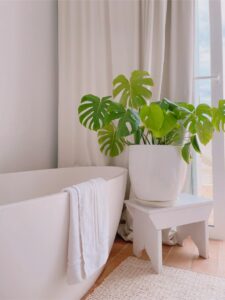 produit entretien environnement